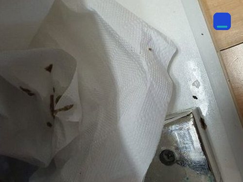 아파트 오수관 고압세척 기장군 하수구막힘 아파트 오수관 고압세척