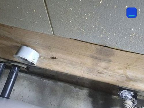 기장군 · 상담 후 방문 작업 고객 글 사진